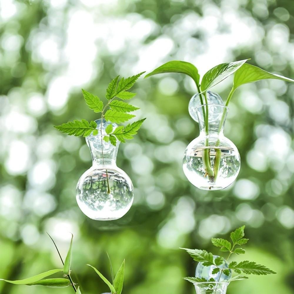 4pcs/set with Suction Cups Wall Mounted Vase Transparent Hanging Fish Tank Office Decor