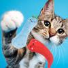 Yousheng Cat Toy Vegetable Shape Teeth Molar Plush Squeak Kitten Toy for Cat Supplies