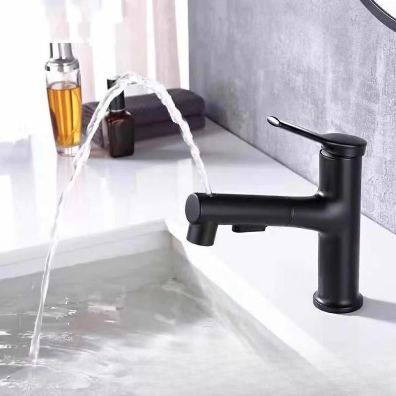 TLXT Gunmetal Style Retractable Pull-Out Basin Faucet, Matte Black