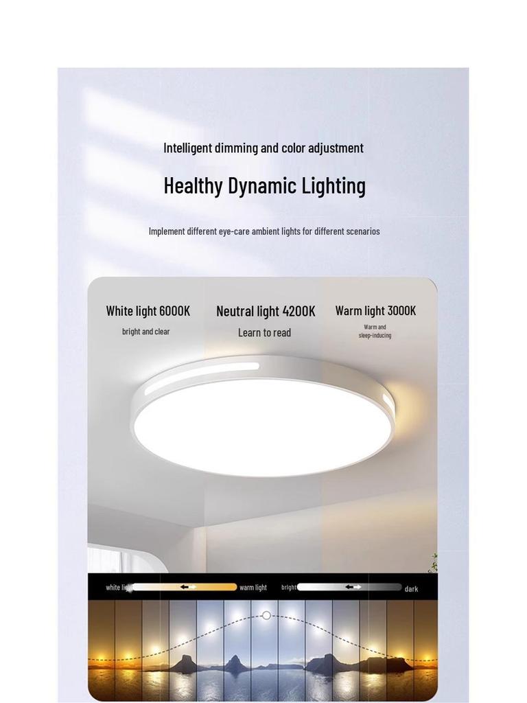 2025 Modern LED Ceiling Light for Living Room and Bedroom