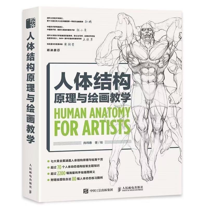 Human Anatomy For Artists Human Body Structure Principle and Painting Teaching Self-study Textbook  Art Collection