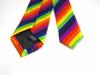 [F NODE] Necktie, Diagonal Stripe, Rainbow, Party, LGBT, 5cm wide