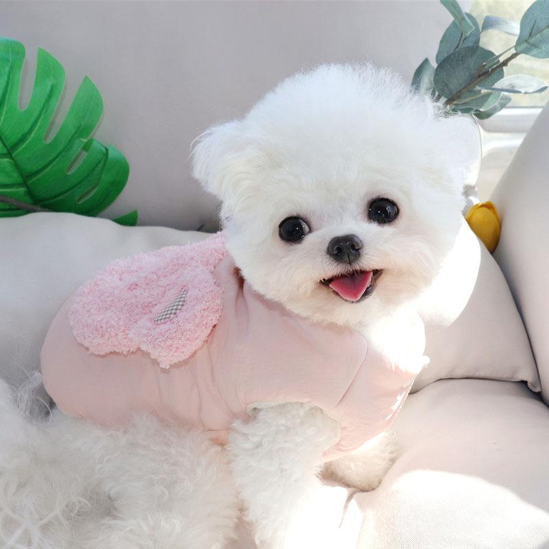 Dog clothes Teddy Pomeranian VIP cotton coat thickened winter traction Bichon small puppy cat autumn and winter clothing