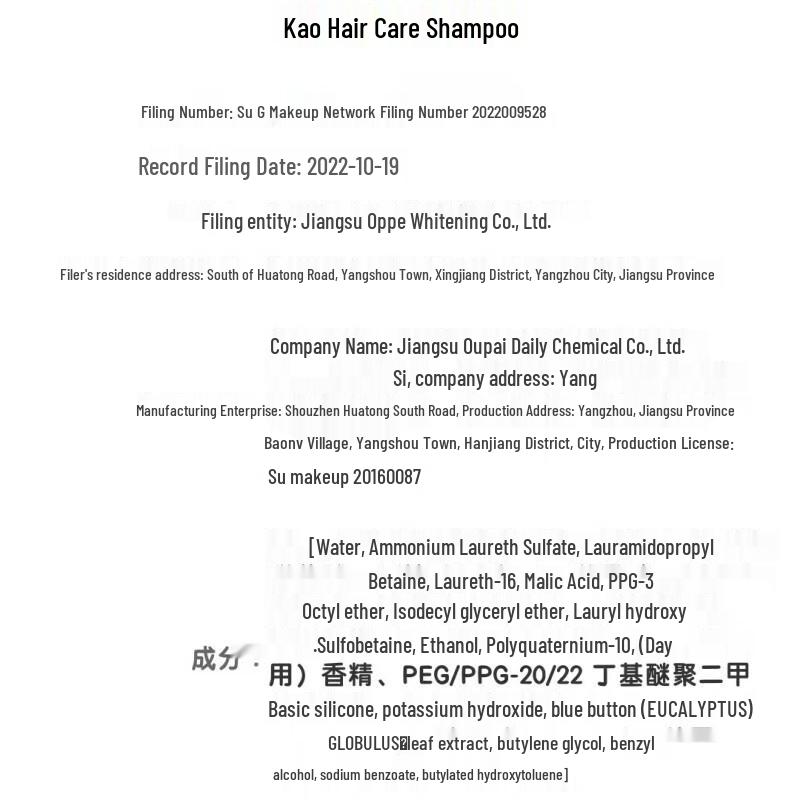 Kao Refreshing & Volumizing Shampoo