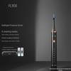FLYCO FT7205 Sonic Electric Toothbrush CN plug (adapter included)