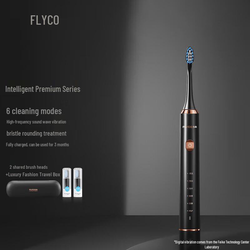 FLYCO FT7205 Sonic Electric Toothbrush CN plug (adapter included)