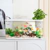 Clear Fishtanks With Safe Lid and Water Plant Holder For Gold Fish Home Desktop Decoration Aquariums Tanks