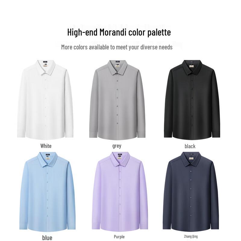 Shanshan Men's Anti-Wrinkle Business Long Sleeve Shirt