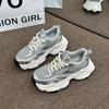 thick-soled Paris silver dad shoes women's summer 2025 new versatile mesh breathable sports casual shoes women's tide