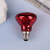 25/40/50/60/75/100W E27 Uva Poultry Bulb Infrared Night Light Day Poultry Heating Bulb For Plants Amphibians Reptile Pets
