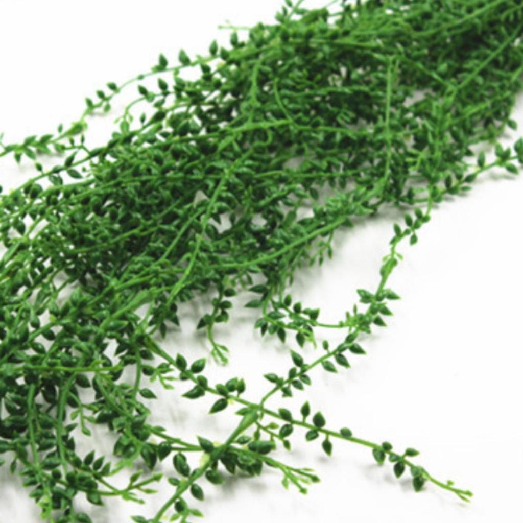 Wall Hanging Artificial Greenery: Potted Plants, Vines, and Plastic Succulents