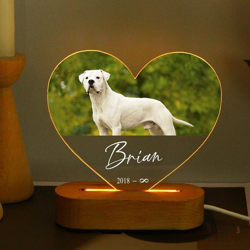 Heart Dog Memorial Frame Pet Custom Acrylic Photo Plaque Personalized Bedroom LED Decor Sign Light up Birthday Gift for Pets