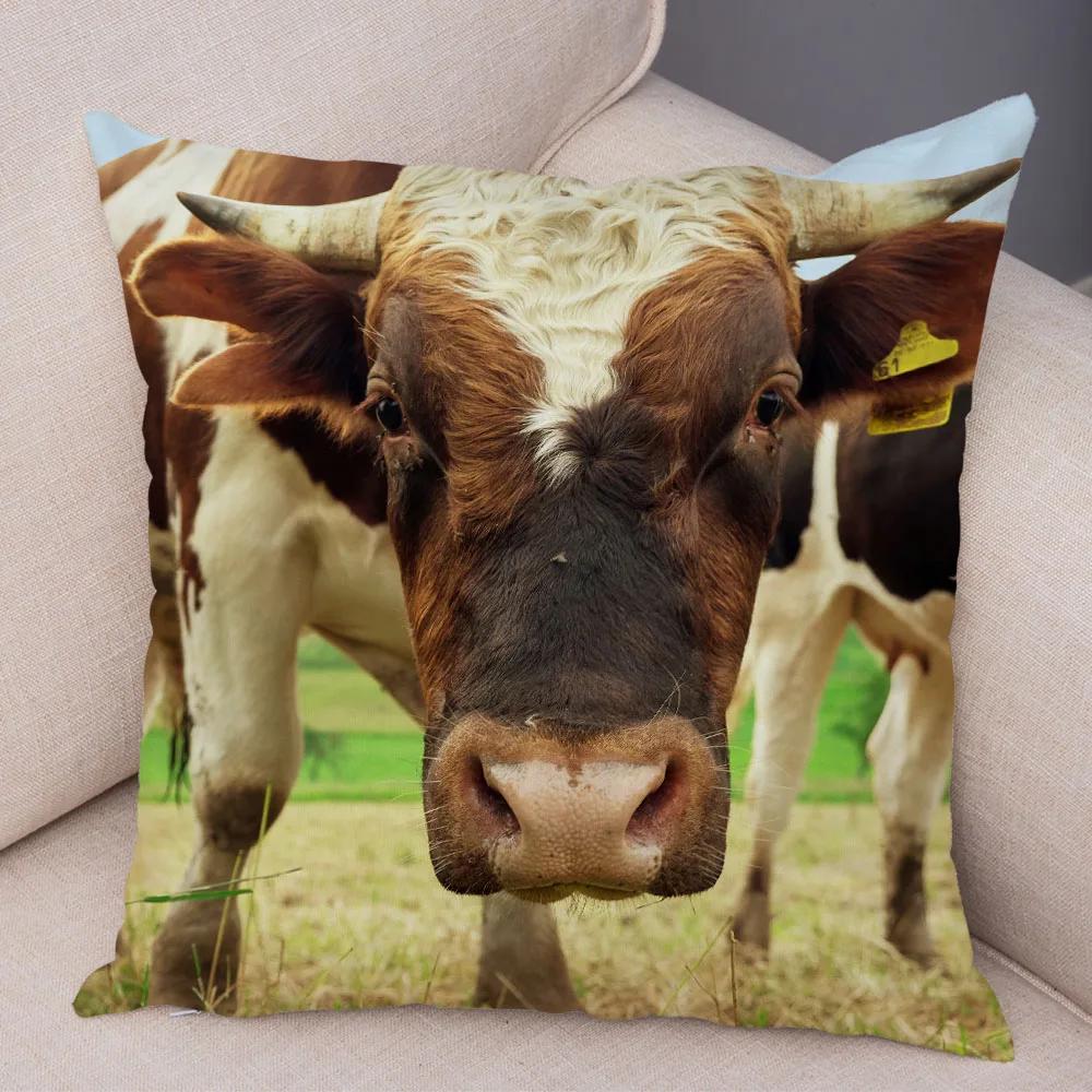 Scotland Kyloe Pillow Case Decor Wild Cow Colorful Animal Print Pillowcase Soft Short Plush Cushion Cover for Home Sofa 45x45cm