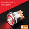Lanbo 22A Stainless Steel Illuminated Self-Locking Momentary Push Button Elevator Switch