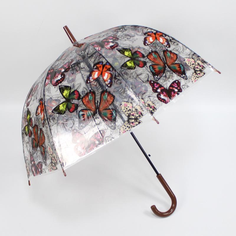Korean Style Transparent Apollo Princess Mushroom Umbrella