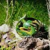 1 Stück Harz Lava Drachenei Dinosaurier Ei Kreative Skulptur Geschenke Heimdekoration Sammlerstücke