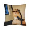 Hamster Faded Funny s Style Square Pillow Cases  Cushion Cover Fashion Zippered Decorative Pillowcase for Home cm