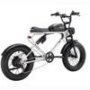 MEELOD DK300PLUS Adult Electric Bicycle 750W Motor 48V20Ah Battery Electrical Road Bike 20" Fat Tire Retro Urban Commuting Mountain E-Bike