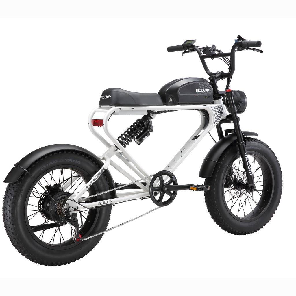 MEELOD DK300PLUS Adult Electric Bicycle 750W Motor 48V20Ah Battery Electrical Road Bike 20" Fat Tire Retro Urban Commuting Mountain E-Bike