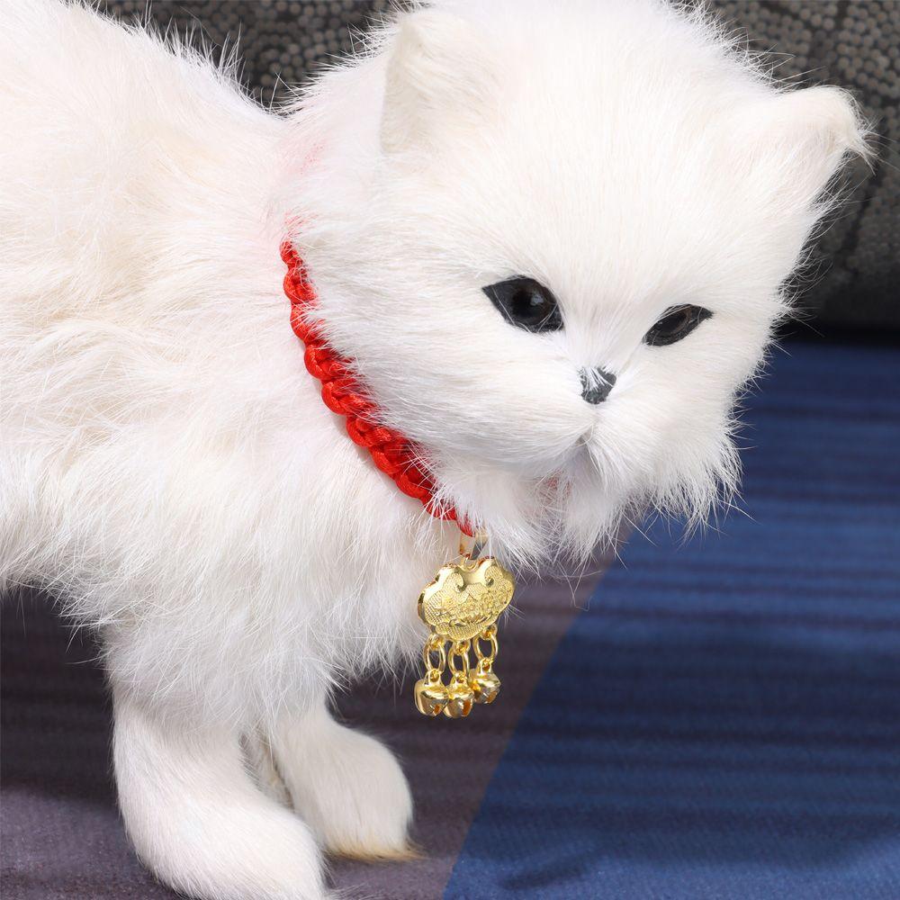 shock collar with radius