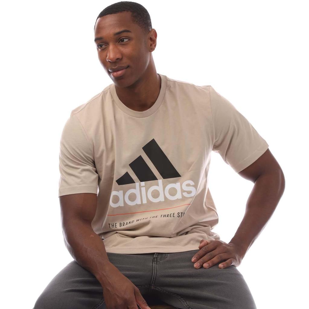 Adidas Men's Graphic Logo T-Shirt