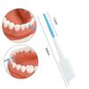 Teeth Gap Brush Teeth Toothbrush Orthodontics Braces Interdental Brush Oral Hygiene Cleaning Care Tool Soft Silicone Material