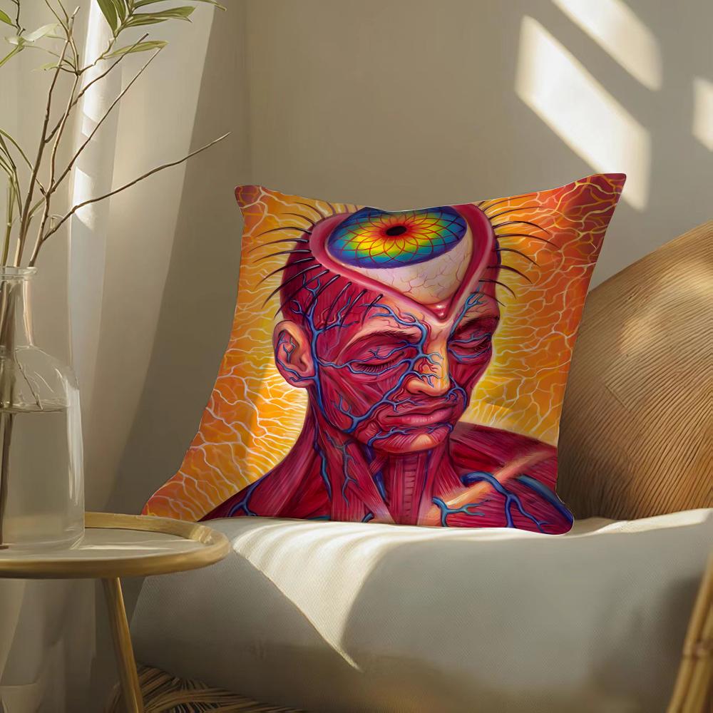 Alex gGrey art Pillow Case DoubleSided Plush Sofa Cushion Covers Organic Breathable Invisible Zipper