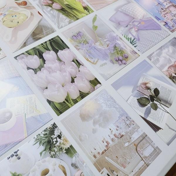 The Nature House Vintage Pink Interior Postcard Set of 30