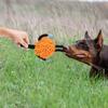 Dog Interactive Tug Squeaky Pet Tug with Lanyard for Training Chewing Pulling Fun and Exercise for Small Medium Large Puppies