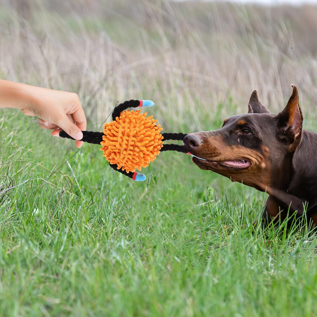 Dog Interactive Tug Squeaky Pet Tug with Lanyard for Training Chewing Pulling Fun and Exercise for Small Medium Large Puppies