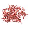 50PCS Plant Grafting Clip Plastic Gardening Tool For Cucumber Eggplant Watermelon Round Mouth Flat Mouth Anti Fall Clamps