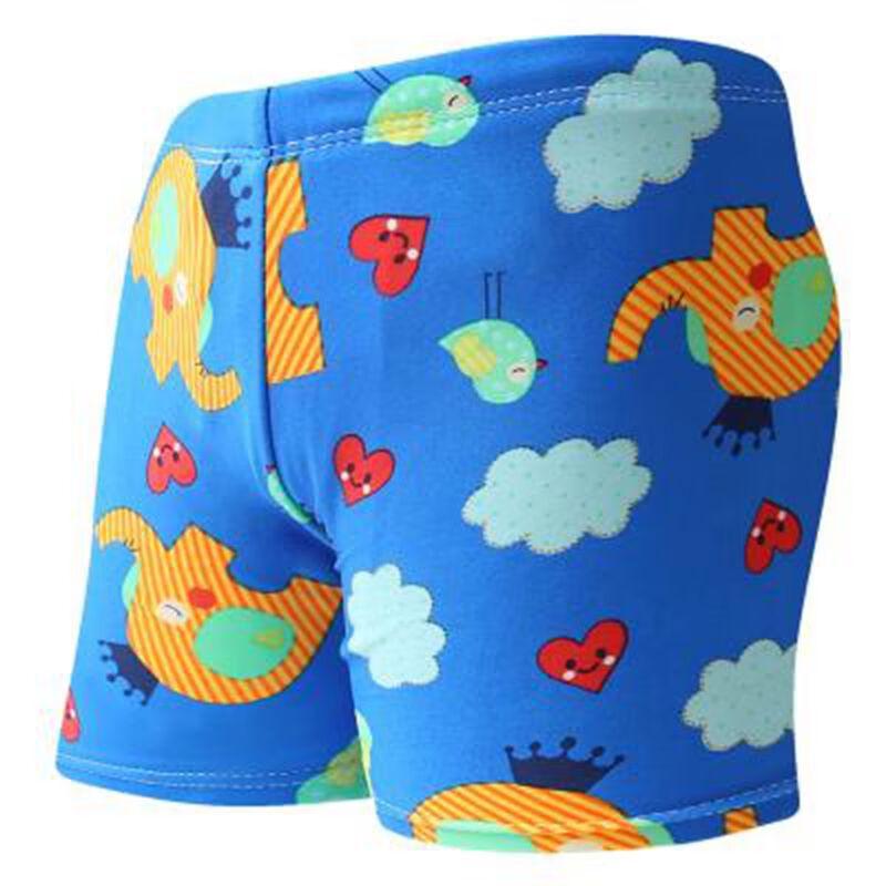 Boys  Quick Dry Flat-Angle Swim Trunks