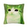 Funny Smiling Meowl Cat (2) Pillow Case Morden Pillow Cover Design Pillowcases For Sofa Bedroom Home Decor