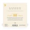 Oud Strings EJ95 D'Addario .022-.041