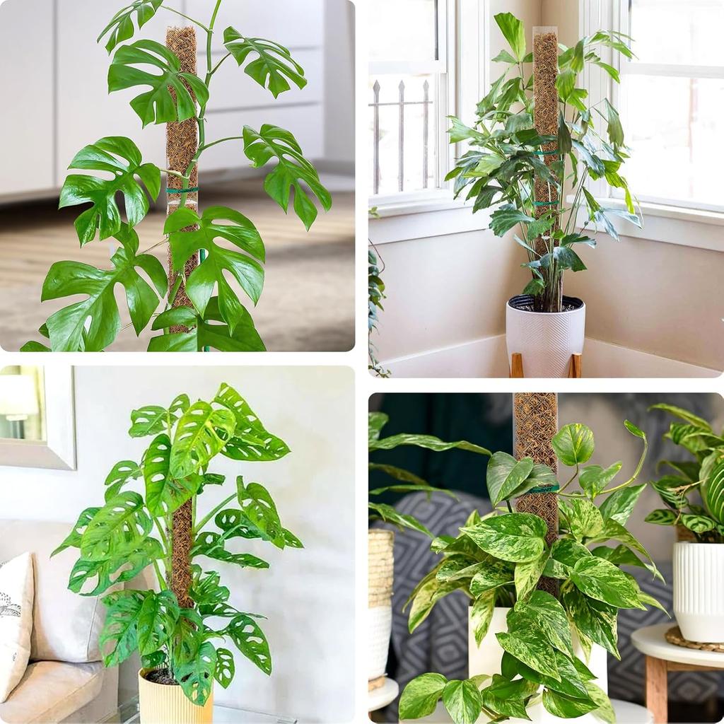 GROWNEER 4 Packs 24 Inch Plastic Moss Pole for Plants Monstera, Stackable Plant Support for Indoor Climbing Plants, Clear Plant Poles with 10FT