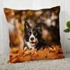 Pillowcase Border Collie  Modern Home Living Room Decor