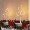 EAMBRITE Lighted Birch Tree Christmas Decorations Indoor for Home, 2Pack 24 LED Battery Operated/USB Tabletop Mini Small Artificial White Trees with
