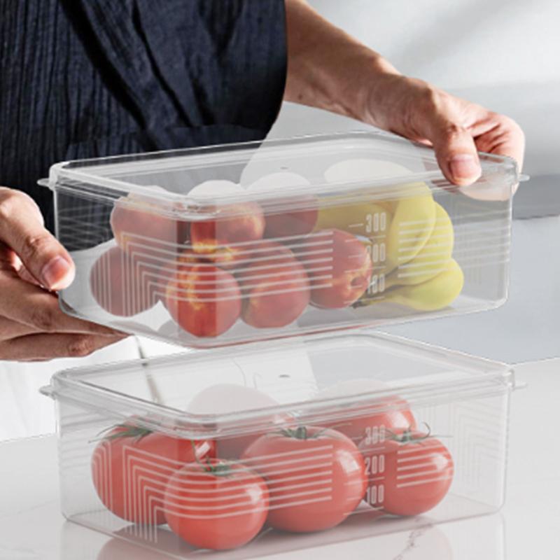 Small Food Preservation Boxes Refrigerator Frozen Meat Vegetable Fresh-Keeping Box Transparent Kitchen Sealed Storage Box