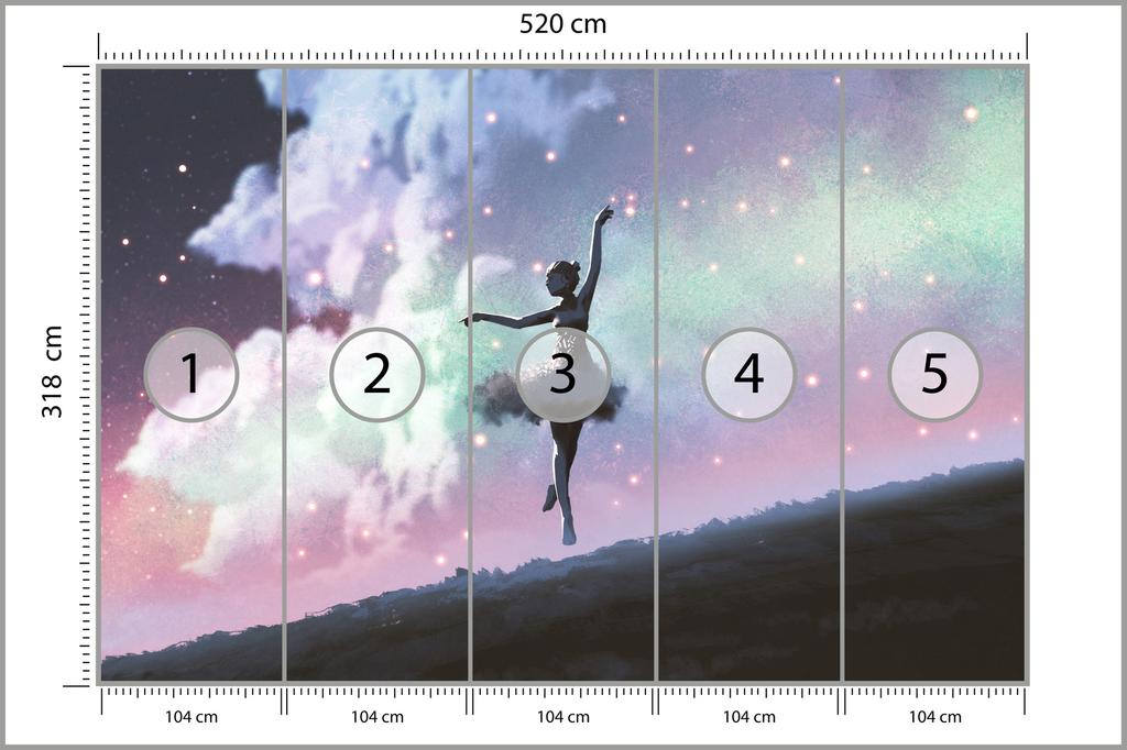 Photomural Ballerina Dancing On The Background Of The Night Sky Washable Fleece 520x318