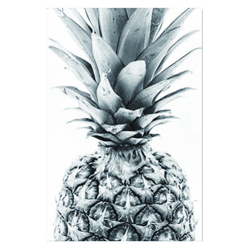 Nordic Minimalism Tropical Prints Palm Tree Leaves Wall Art Pineapple Poster Black White Canvas Painting Picture for Living Room No Frame