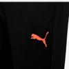 Puma Teamlia Training Pants