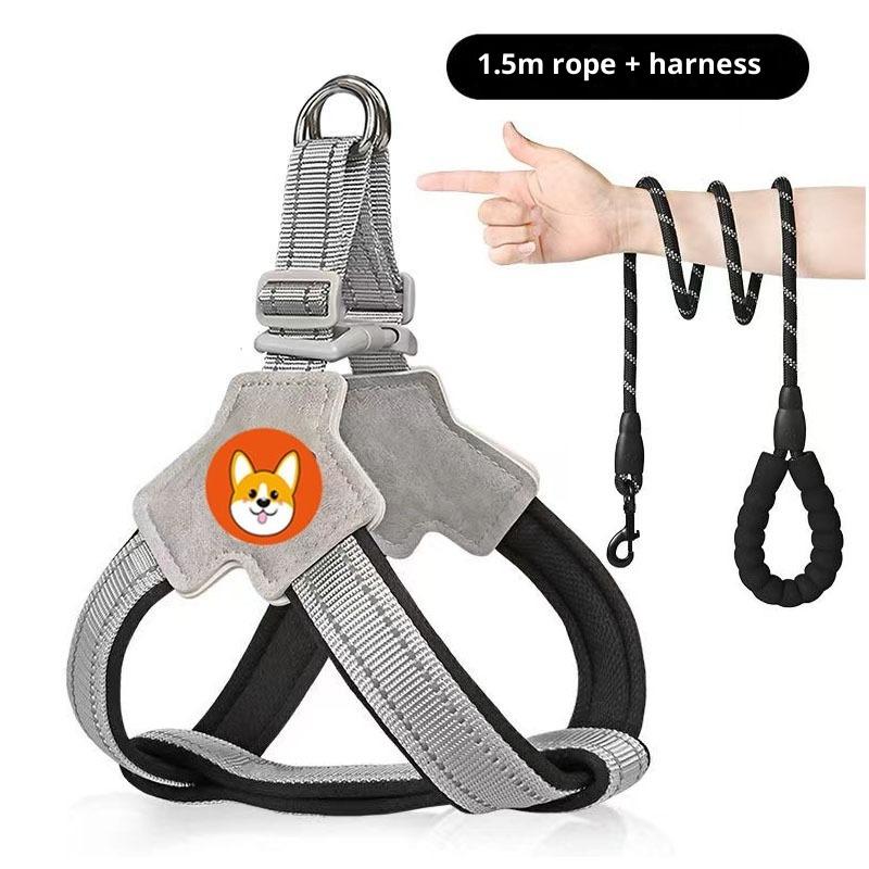 Köpek Tasması Yelek Tipi Evcil Hayvan Göğüs Kayışı Köpek Gezdirme Tasması Küçük ve Orta Boy Corgi Ayı Teddy Tasması