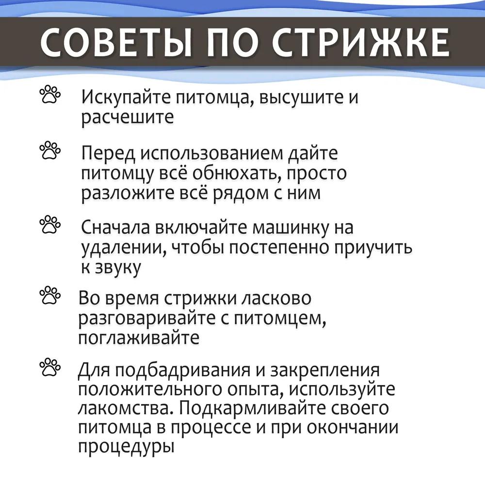 Clipper for dogs and cats, for animals, Cordless clipper with battery for grooming, Wachen