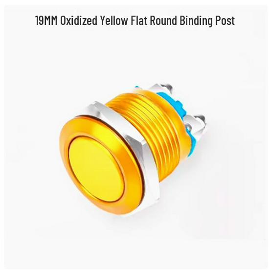 

19mm/22mm Full Oxidation Metal Button Switch - Screw/Solder Terminals, Multi-Color, Self-Reset Momentary Power