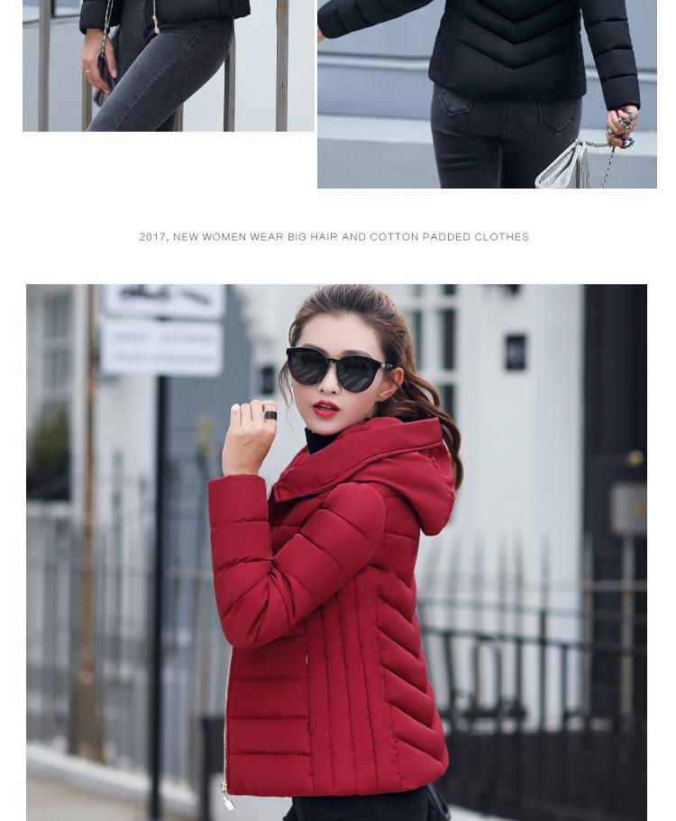 Korean Style Women's Short Slimming Cotton Padded Jacket - Autumn/Winter Outerwear for Cold Protection