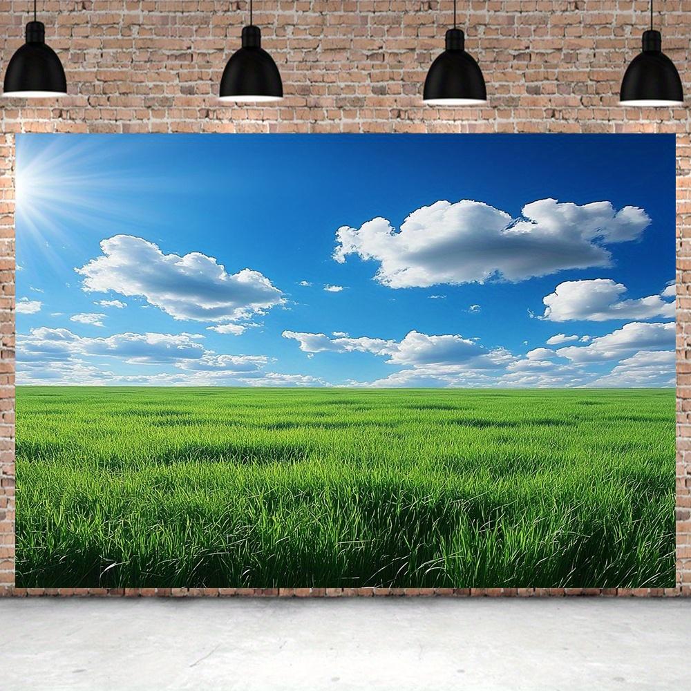 Polyester Lawn Background, Home Decoration, Parties, Weddings, Birthdays, Photo Props, Multi-purpose, Festival Wall Flags.