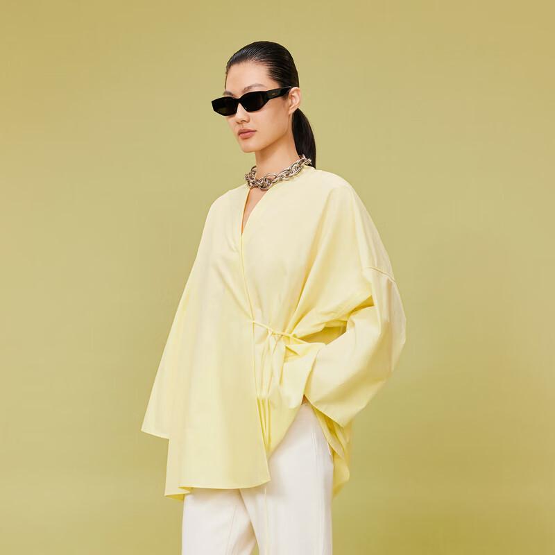LESS 2024 Spring Cotton Casual Long Sleeve Shirt