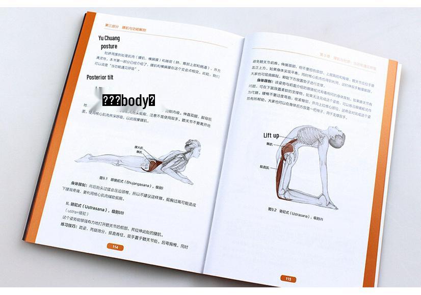 Psoas Anatomy & Pain Relief Exercises