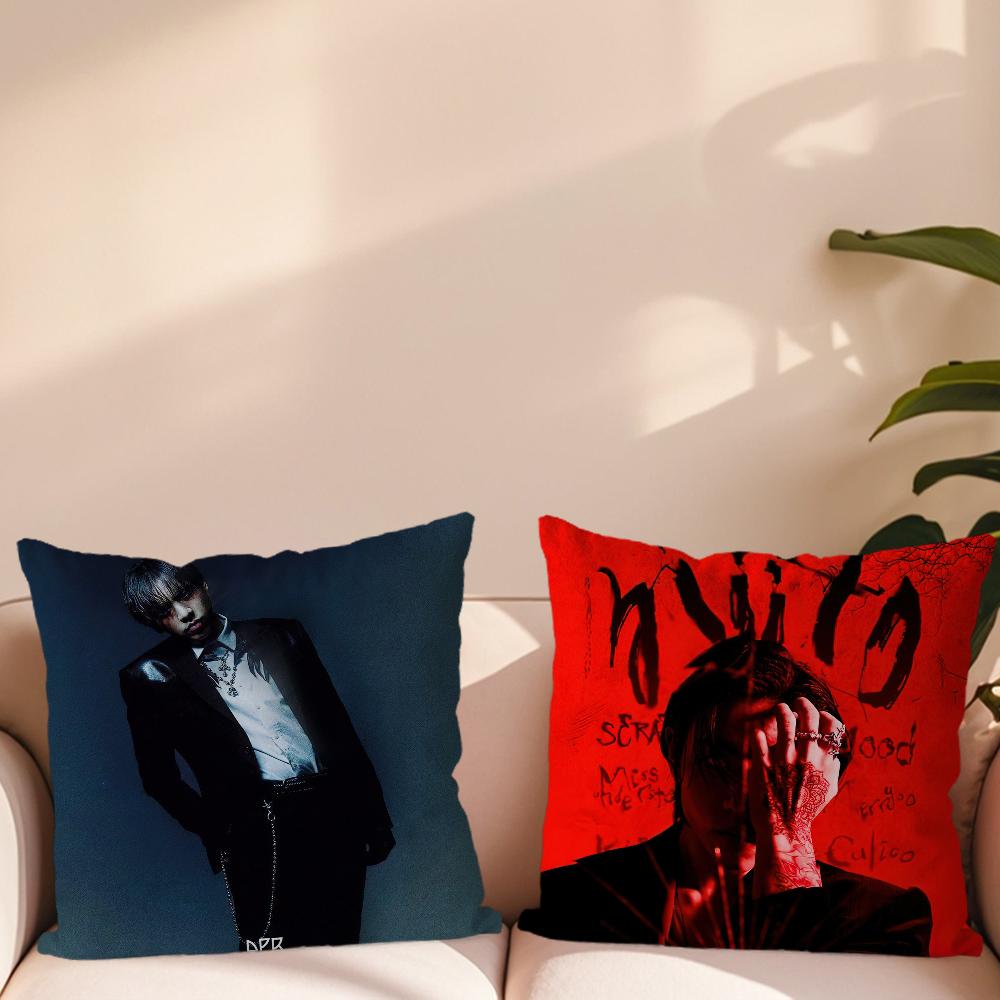 Musical artist ddpr ian Pillow Case Living Room Accent Couch Back Support Square Lounge Restful Nap Companion ?
