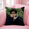 Singer Kim T-Tae-Hyung Office Cushion Pillowcase Car Cushion Cover45X45Cm Lumbar Pillowcase Sofa Pillowcover